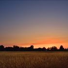 20190626 Abendhimmel über Reitwein