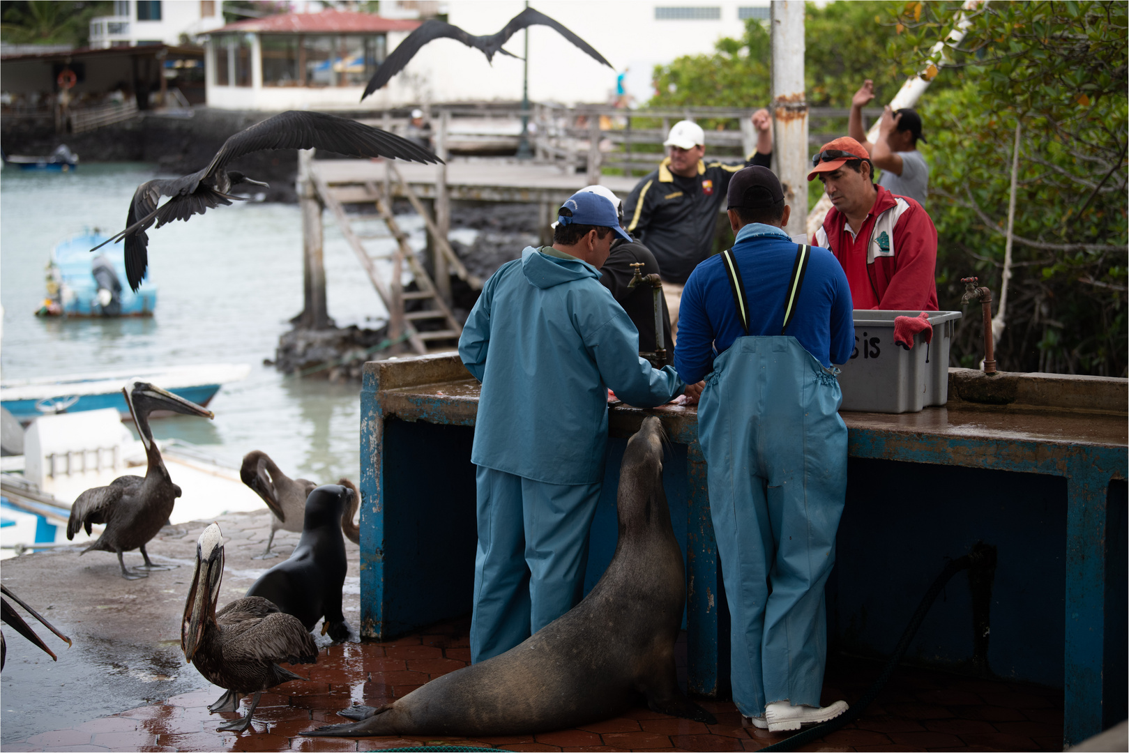 20190709 Galapagos 2019201920192170-Bearbeitet