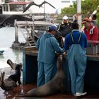 20190709 Galapagos 2019201920192170-Bearbeitet