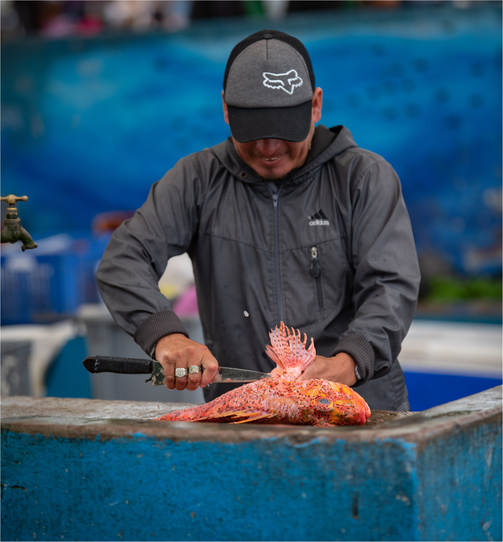 20190711 Galapagos 201920193534-Bearbeitet