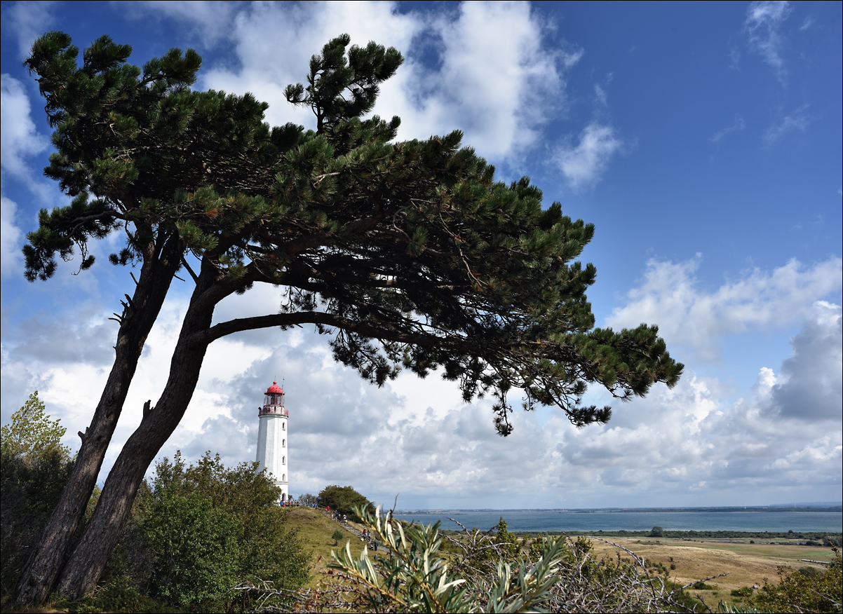 20190818 Leuchtturm Hiddensee