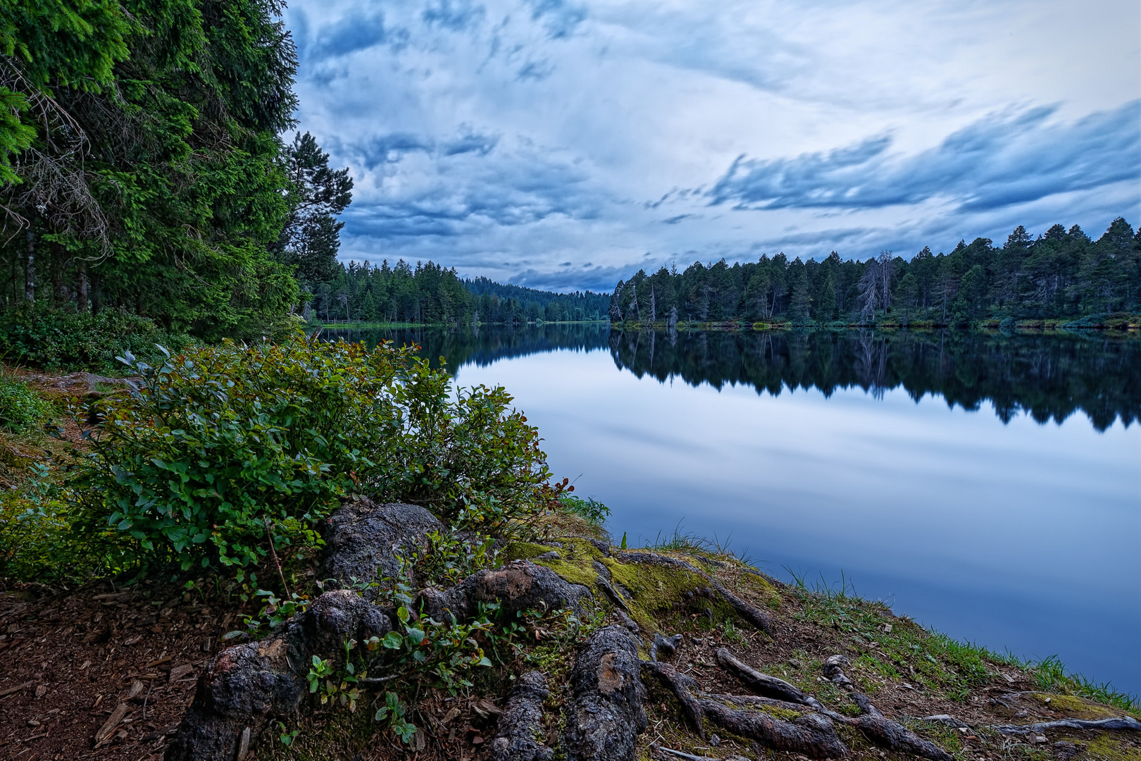 20190818_Saignelegier_Etang_de_la_Gruere