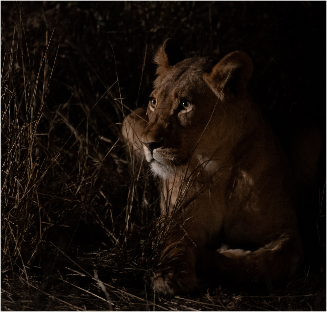 20190821 Zimanga7284-Bearbeitet