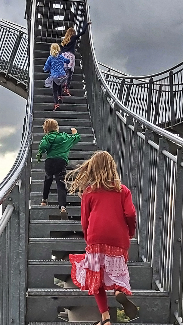 20190908_Tiger&Turtle-2