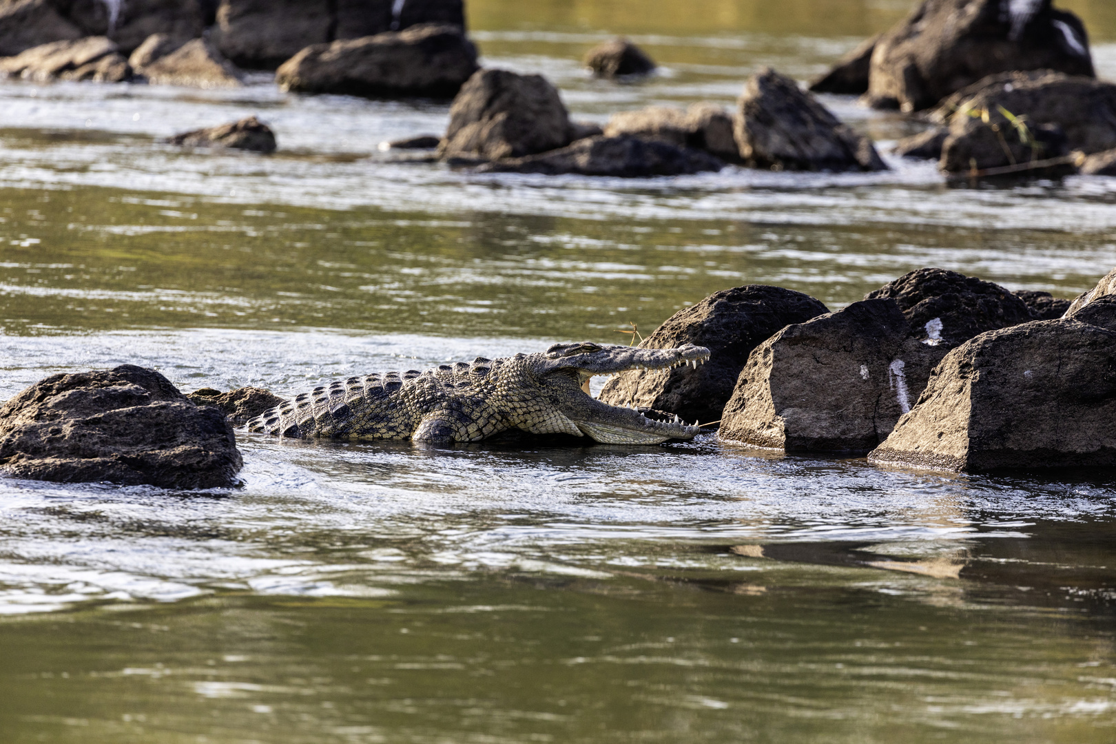 2019_09_14_Botswana