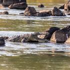 2019_09_14_Botswana