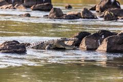 2019_09_14_Botswana