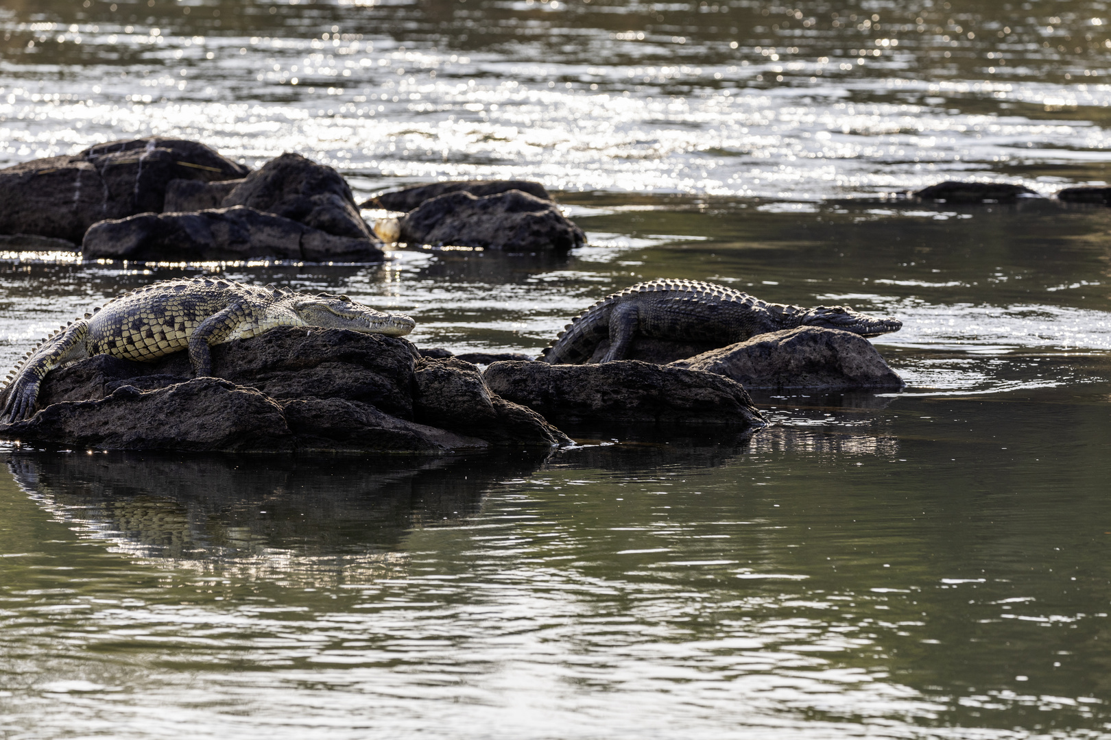 2019_09_14_Botswana