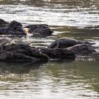 2019_09_14_Botswana