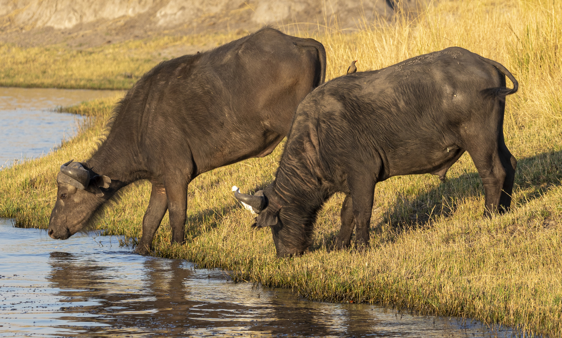 2019_09_Botswana