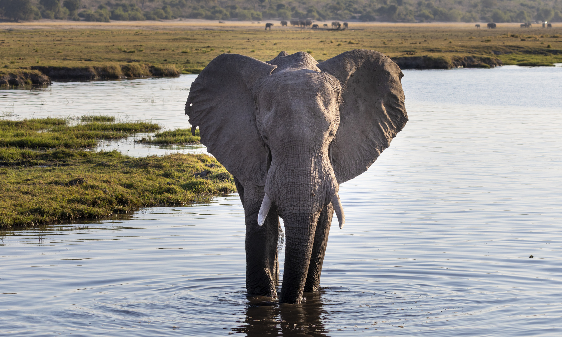 2019_09_Botswana