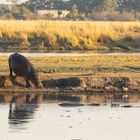 2019_09_Botswana