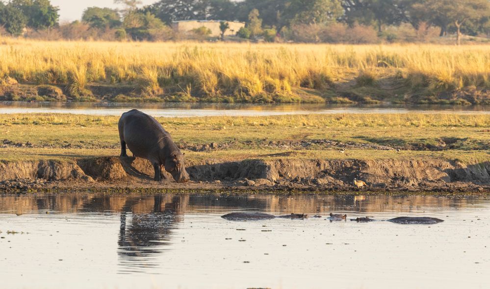 2019_09_Botswana