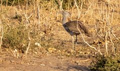 2019_09_Botswana