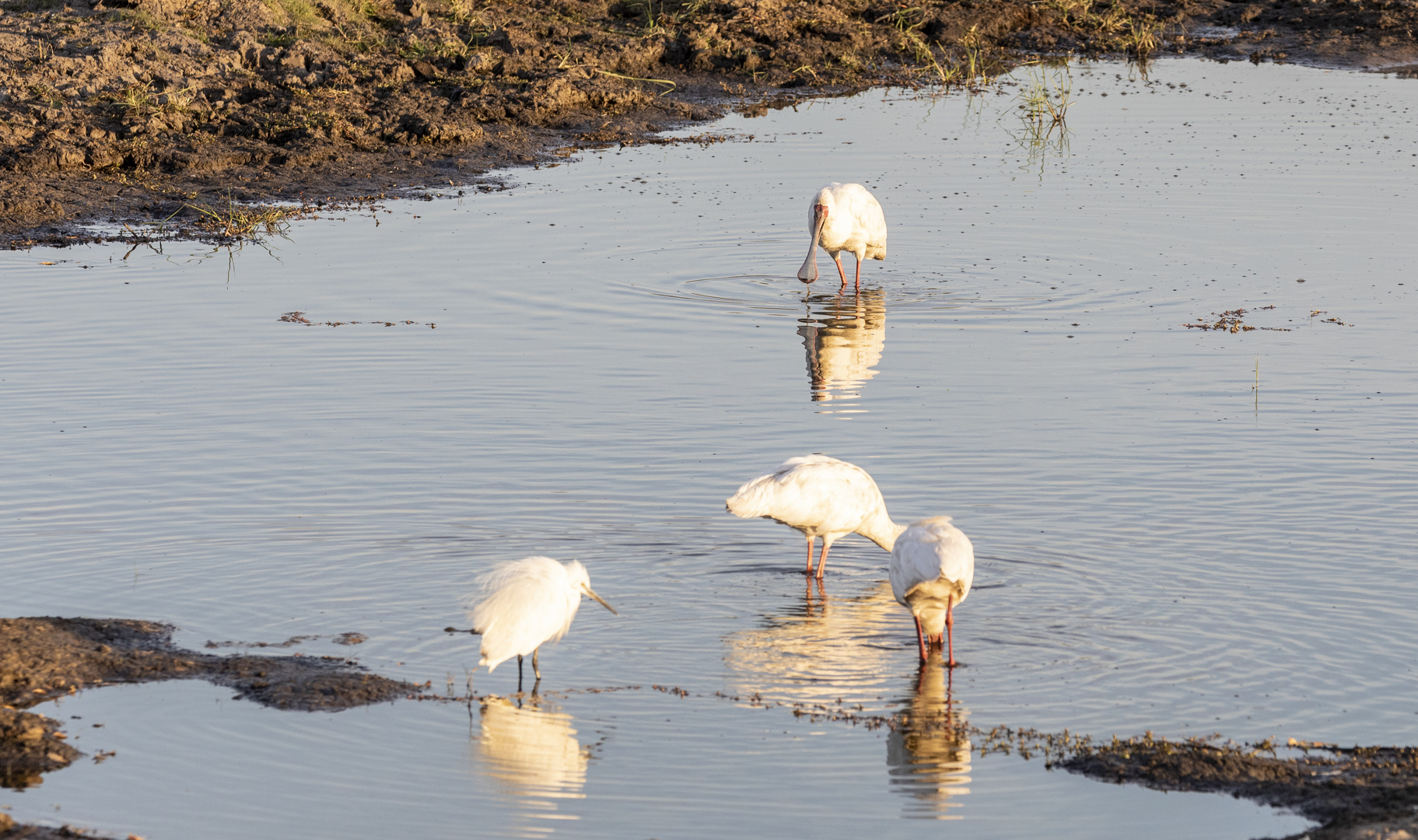 2019_09_Botswana