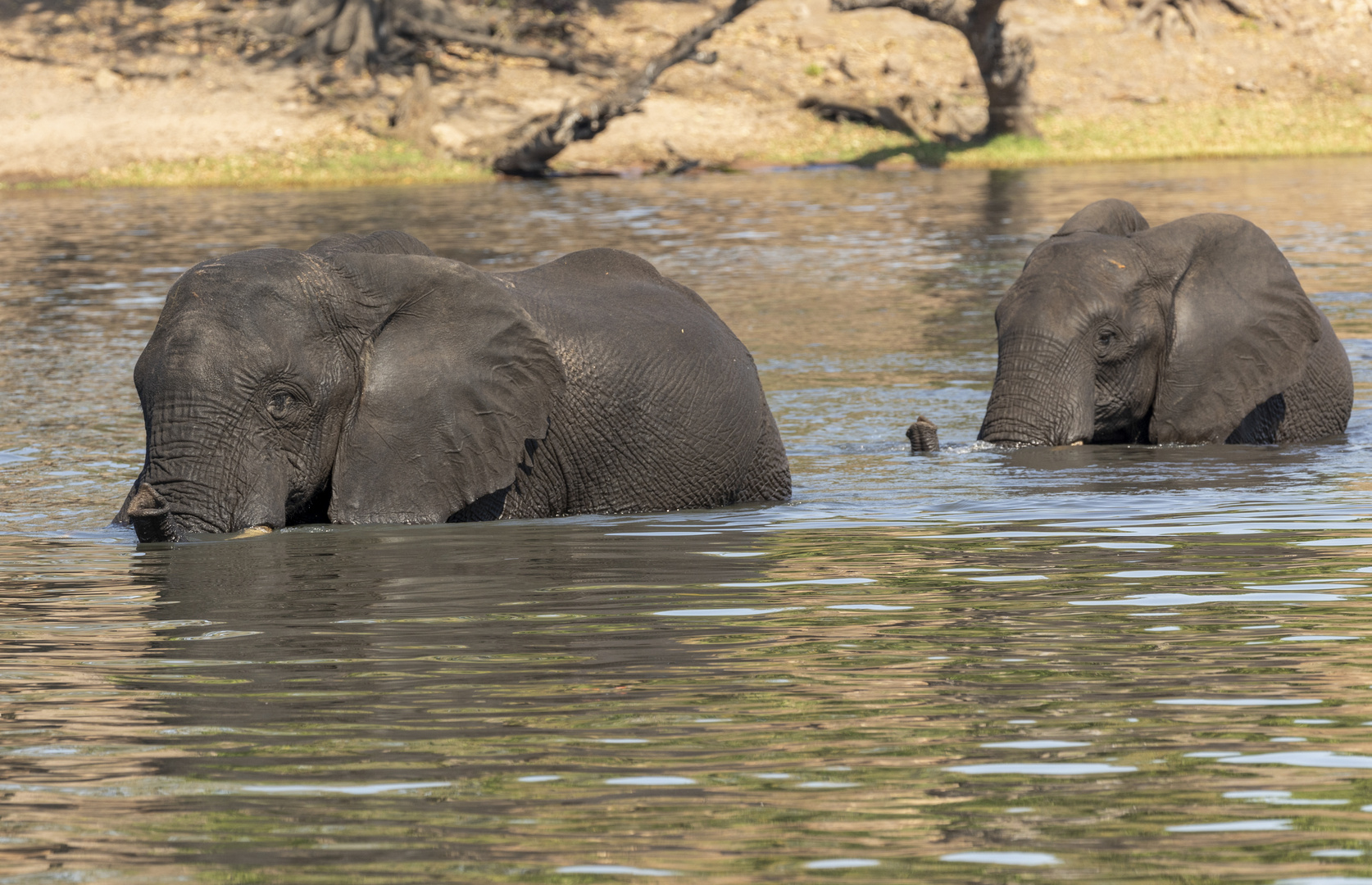 2019_09_Botswana