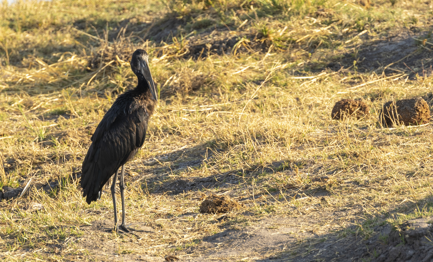 2019_09_Botswana