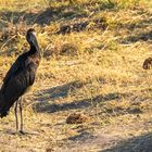 2019_09_Botswana