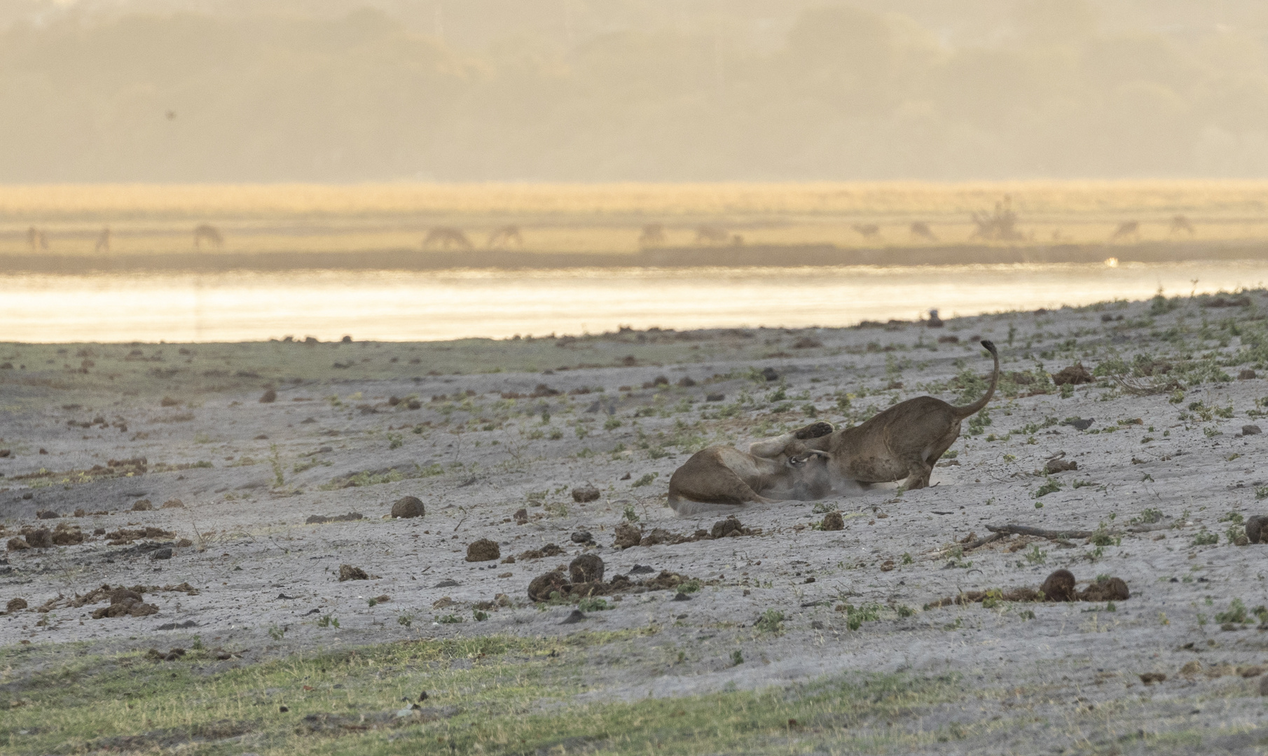 2019_09_Botswana