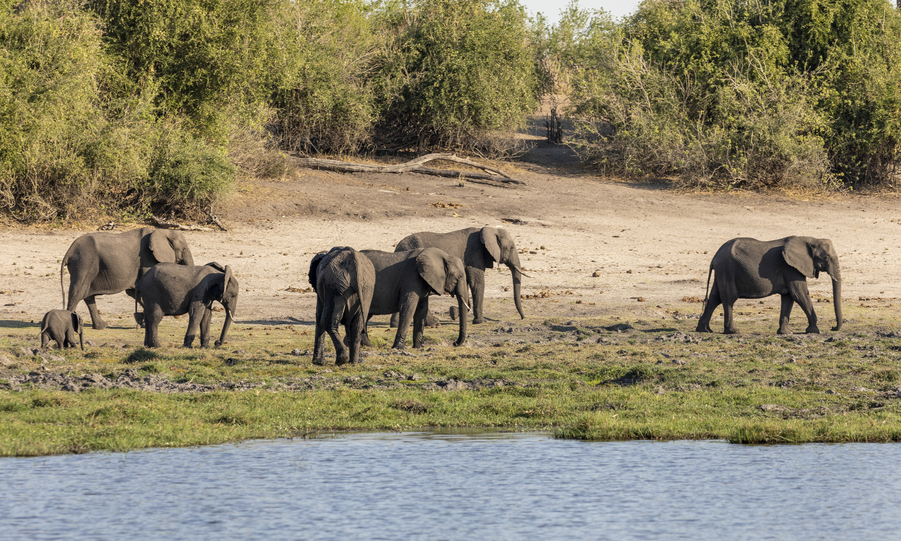 2019_09_Botswana