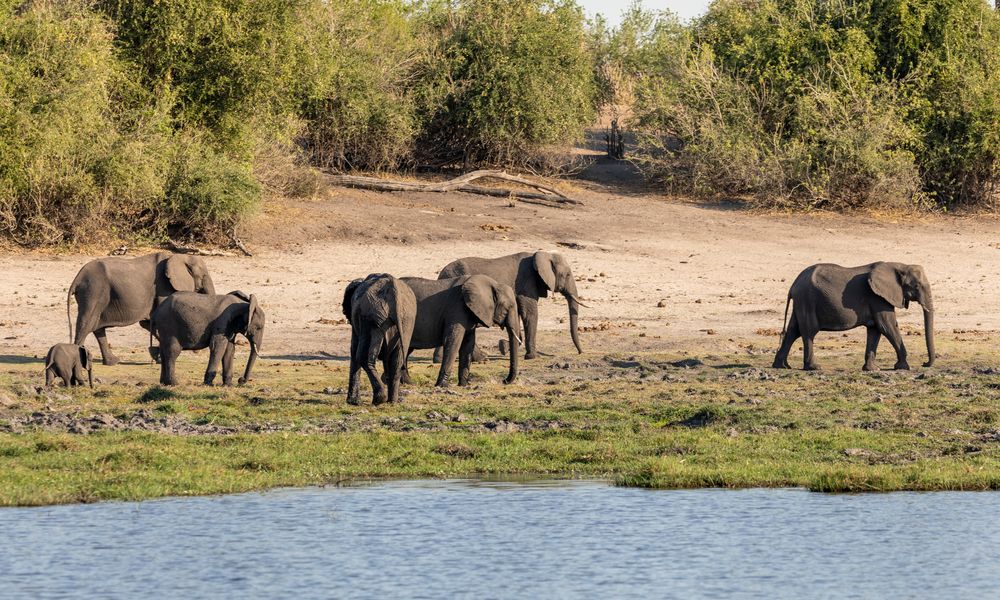 2019_09_Botswana