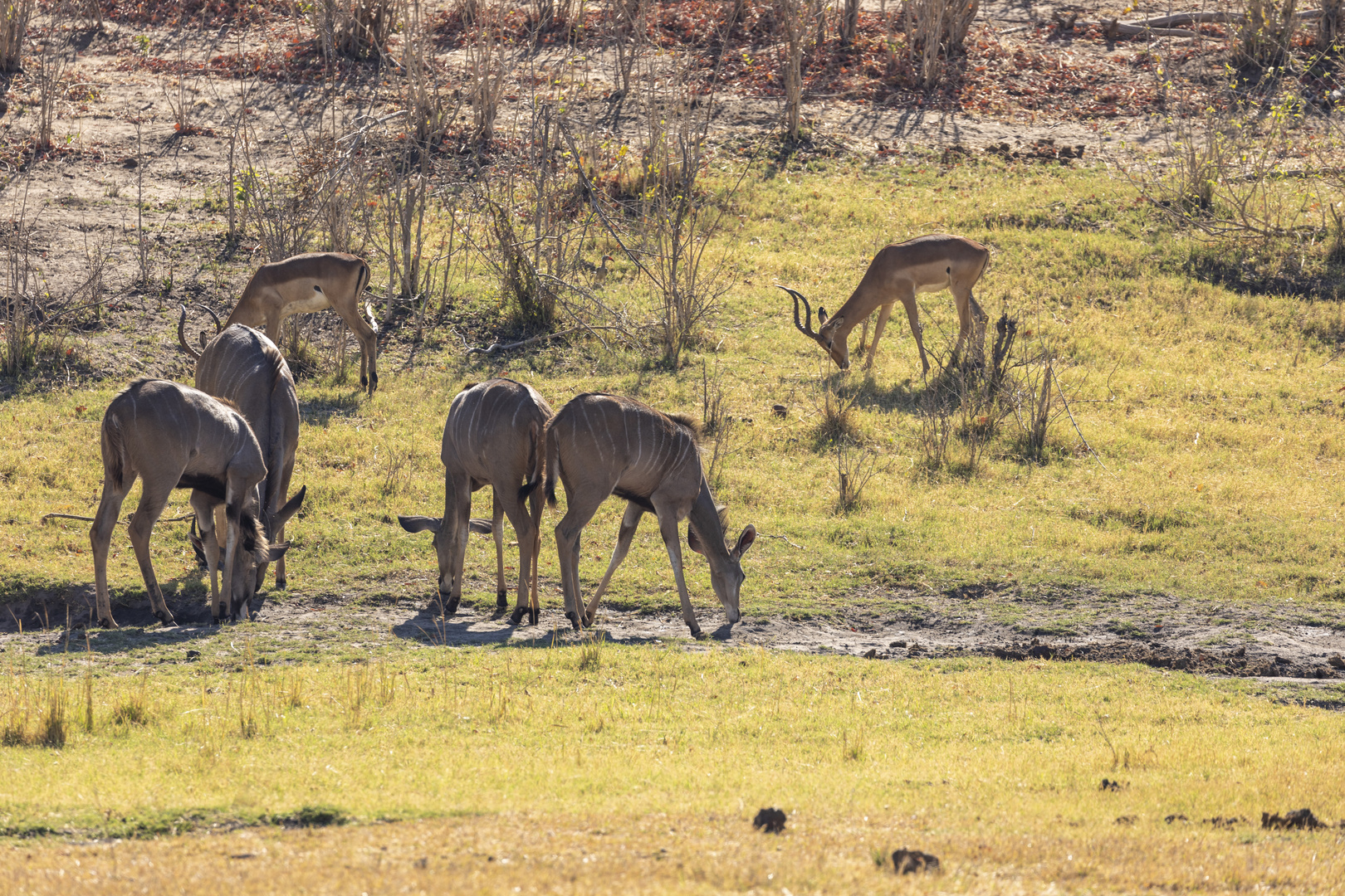 2019_09_Botswana