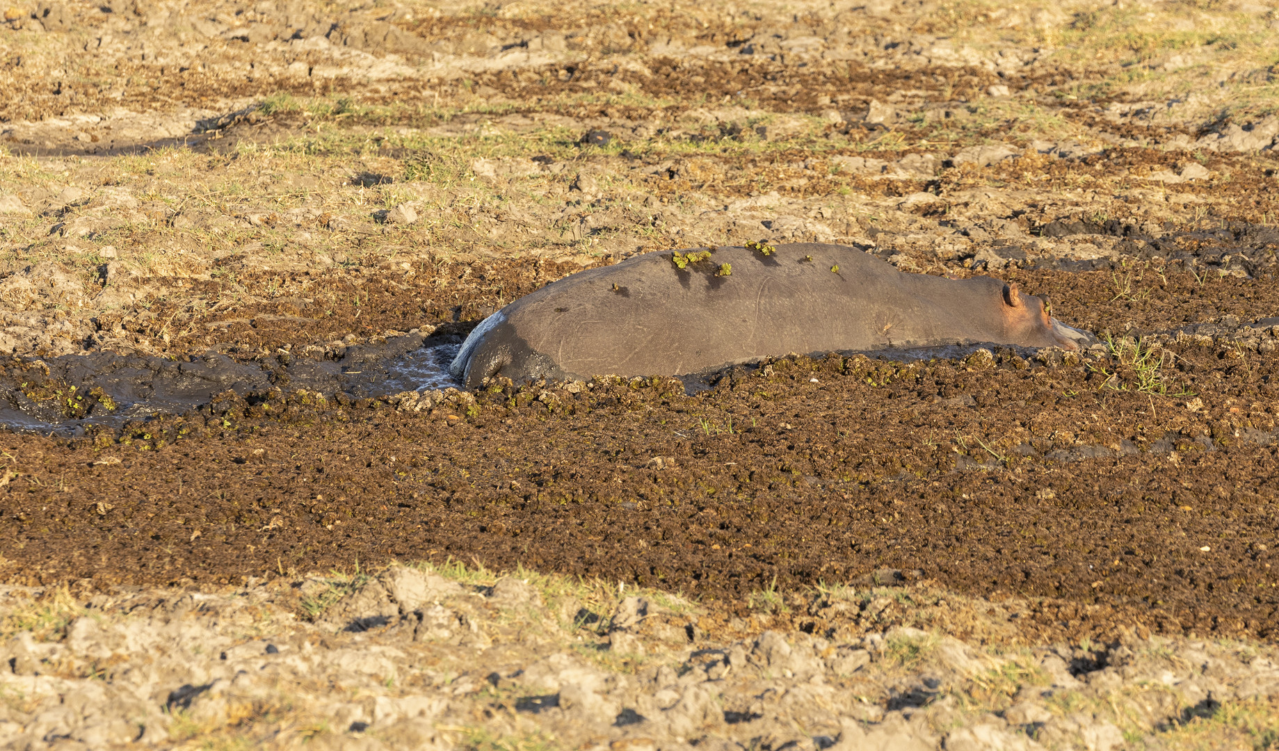 2019_09_Botswana