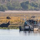 2019_09_Botswana