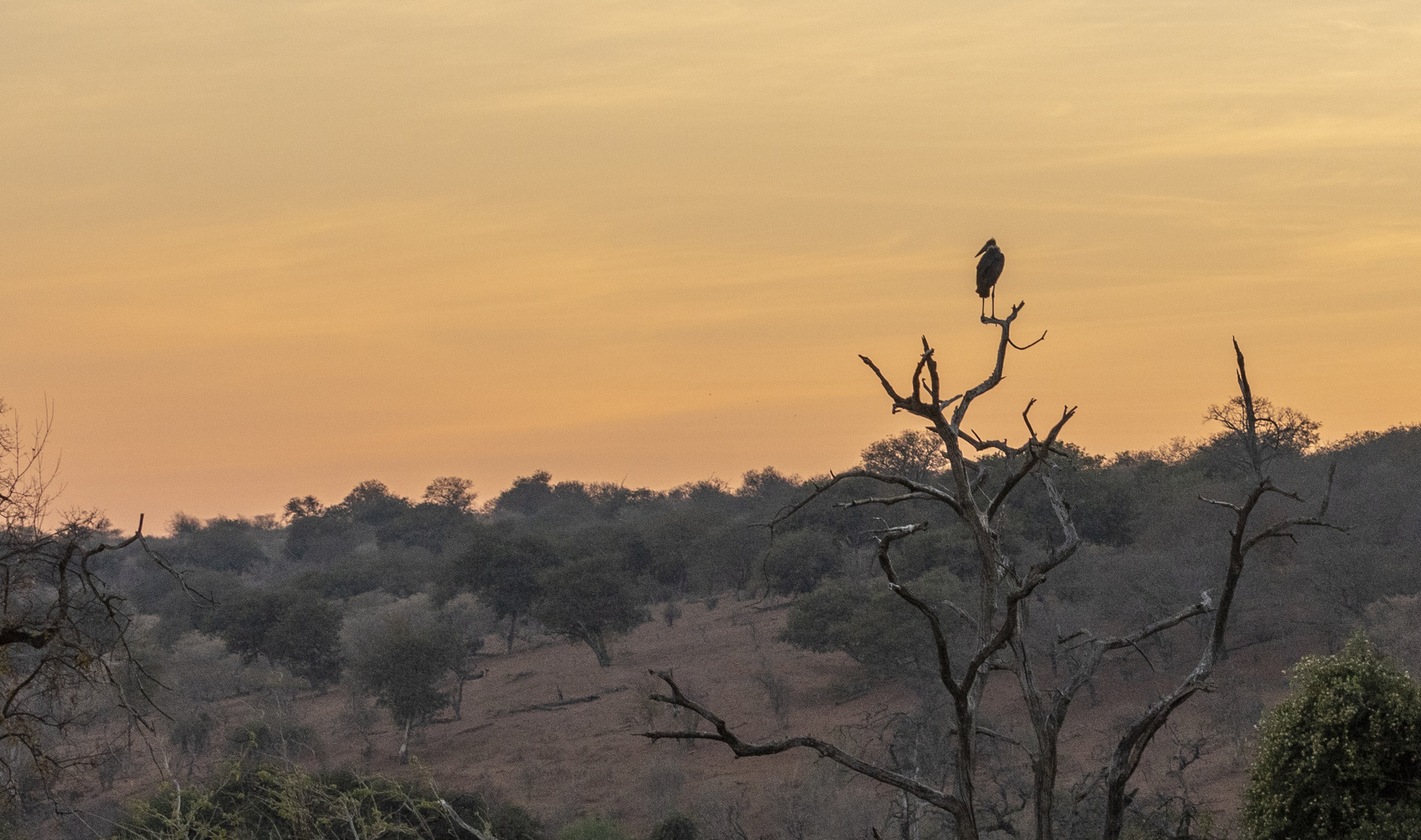 2019_09_Botswana