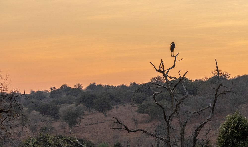 2019_09_Botswana