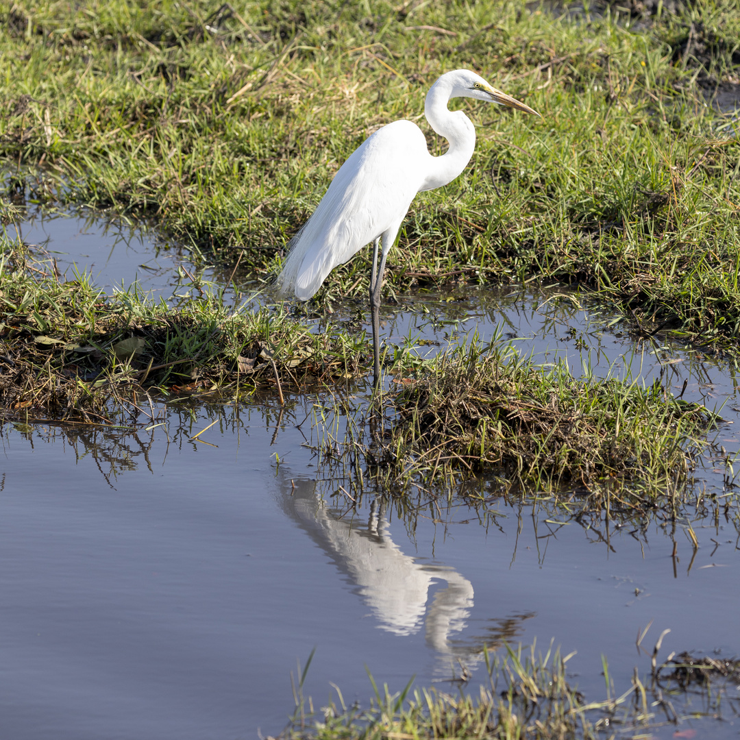 2019_09_Botswana