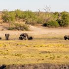 2019_09_Botswana