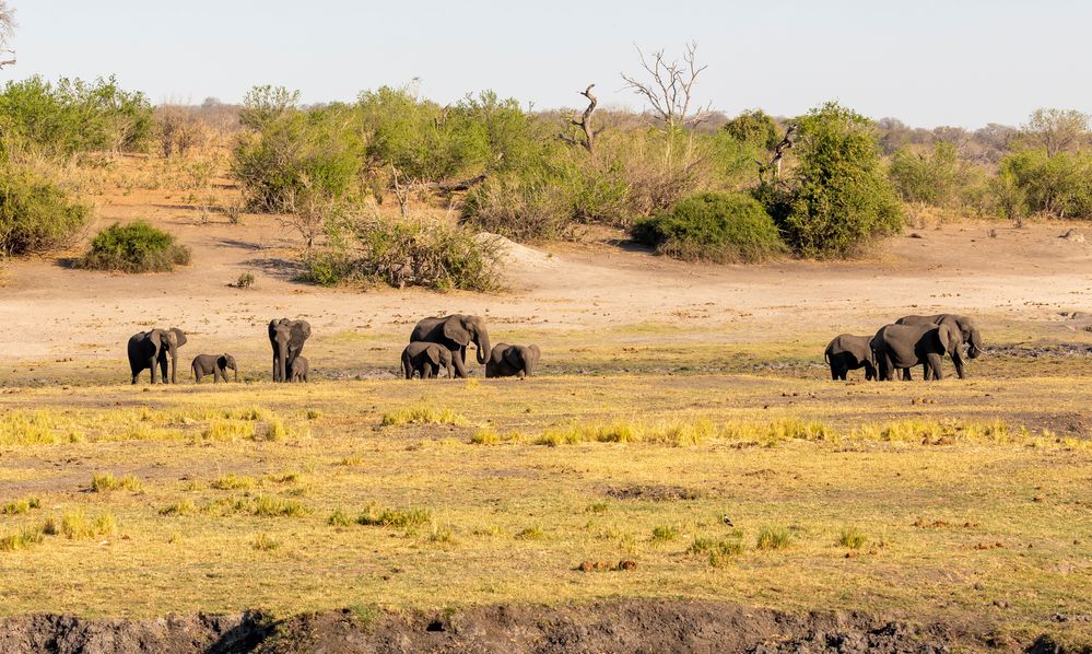 2019_09_Botswana