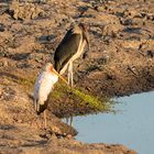 2019_09_Botswana