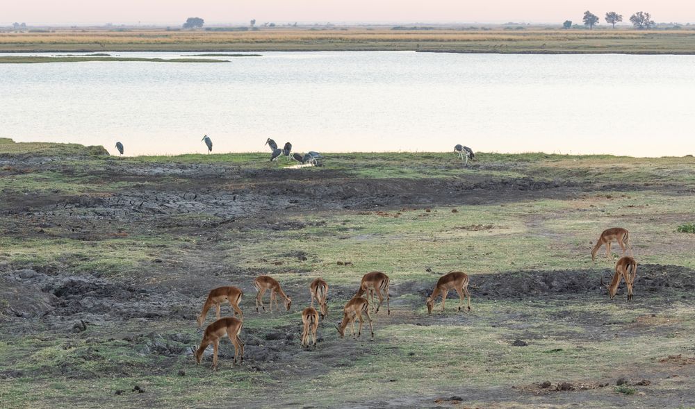 2019_09_Botswana