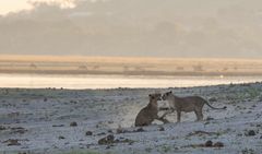 2019_09_Botswana