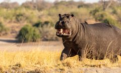 2019_09_Botswana