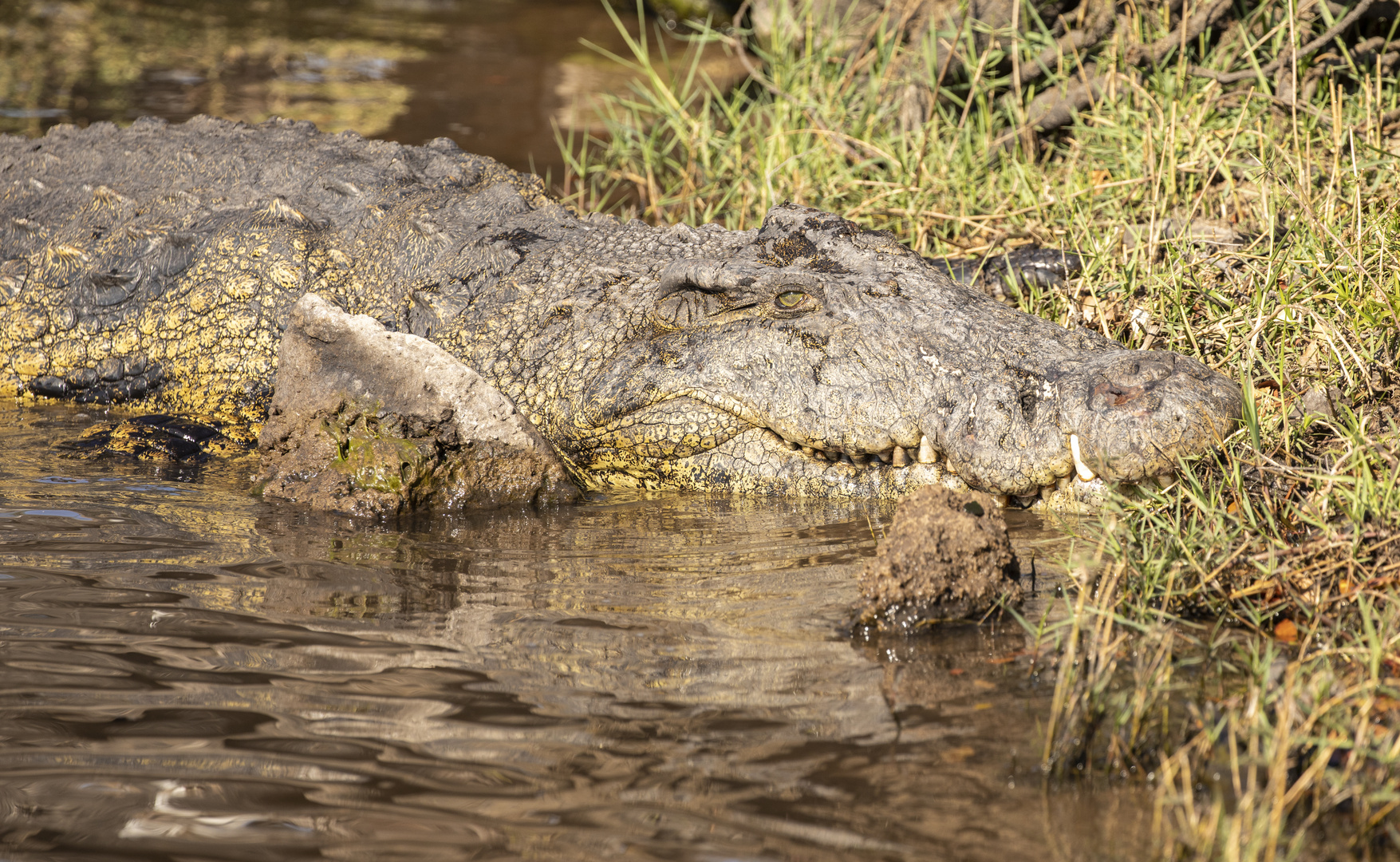 2019_09_Botswana