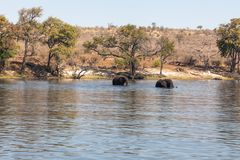 2019_09_Botswana