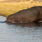 2019_09_Botswana