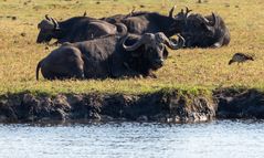 2019_09_Botswana