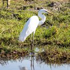 2019_09_Botswana