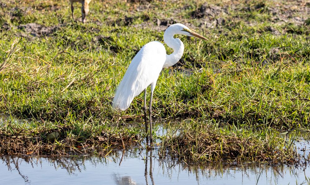 2019_09_Botswana