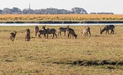 2019_09_Botswana