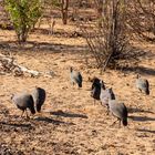 2019_09_Botswana