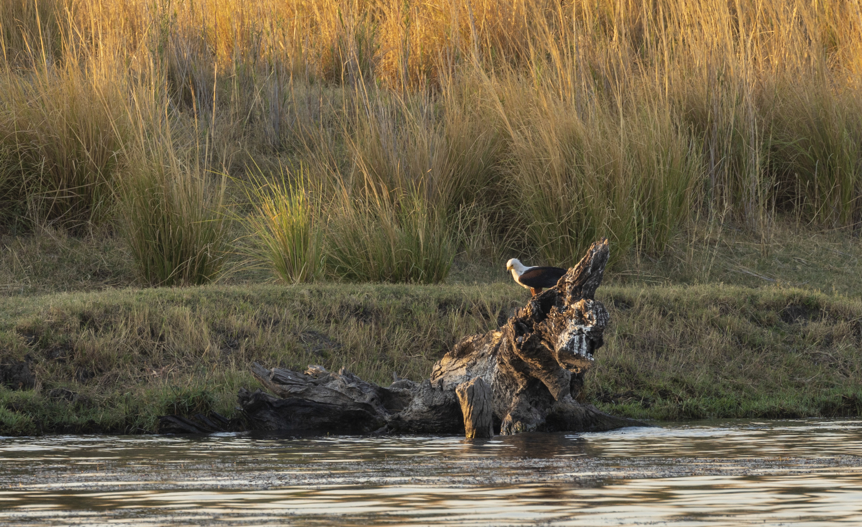 2019_09_Botswana