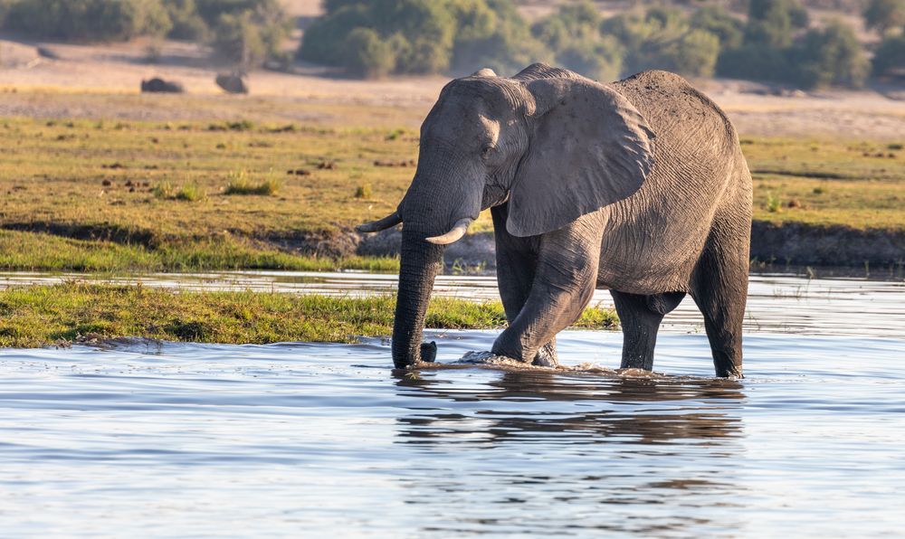 2019_09_Botswana