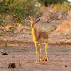 2019_09_Botswana