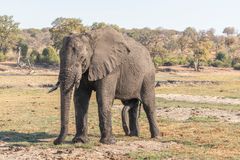 2019_09_Botswana