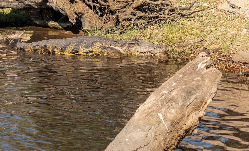 2019_09_Botswana